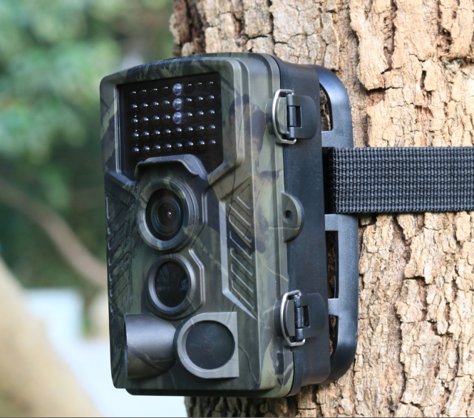 outdoor wildlife trail camera