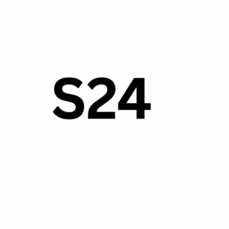 S24